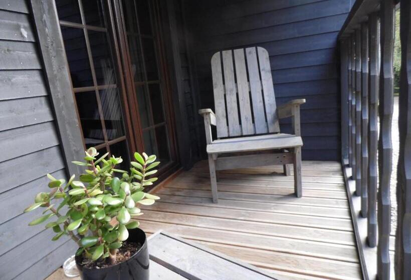 스탠다드 자쿠지 룸, Western City