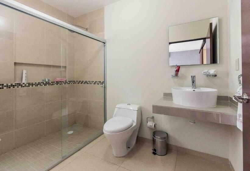 ویلای 1 خوابه, Redwood Villas Zona Industrial San Luis Potosi