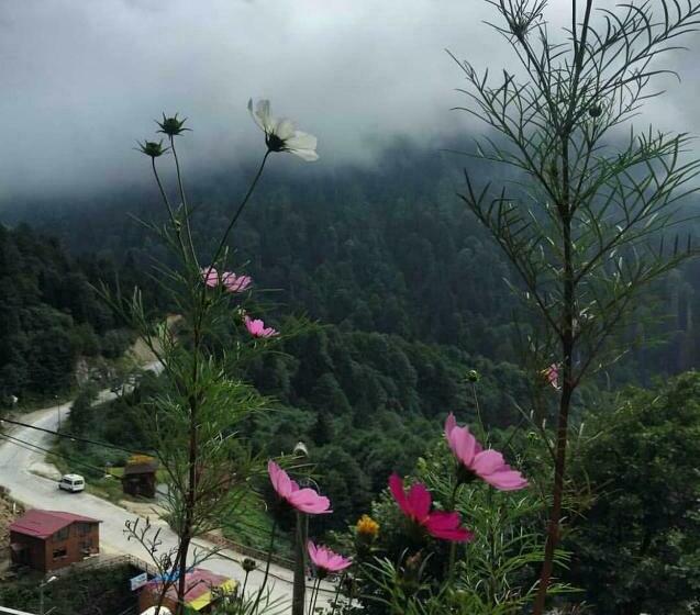 غرفة عائلية, Ayder İmamoğlu Apart Otel