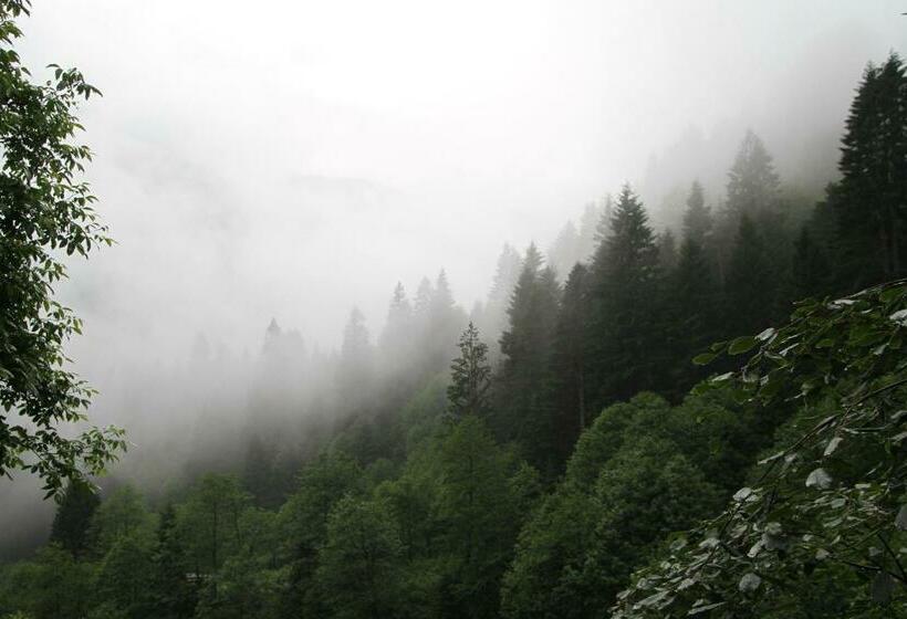 غرفة عائلية, Ayder İmamoğlu Apart Otel