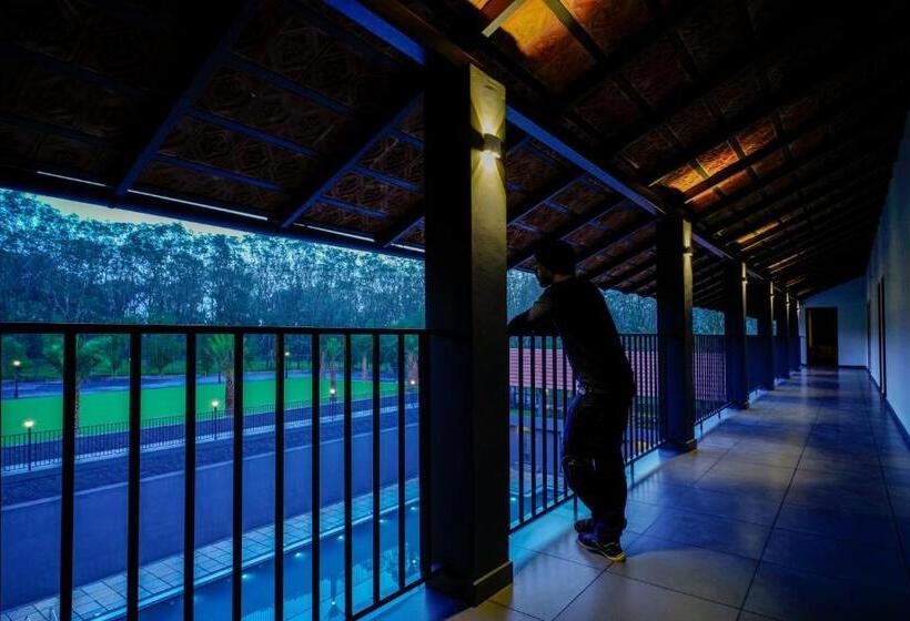 غرفة سوبيريور سرير كينج, Fern Tree Resort