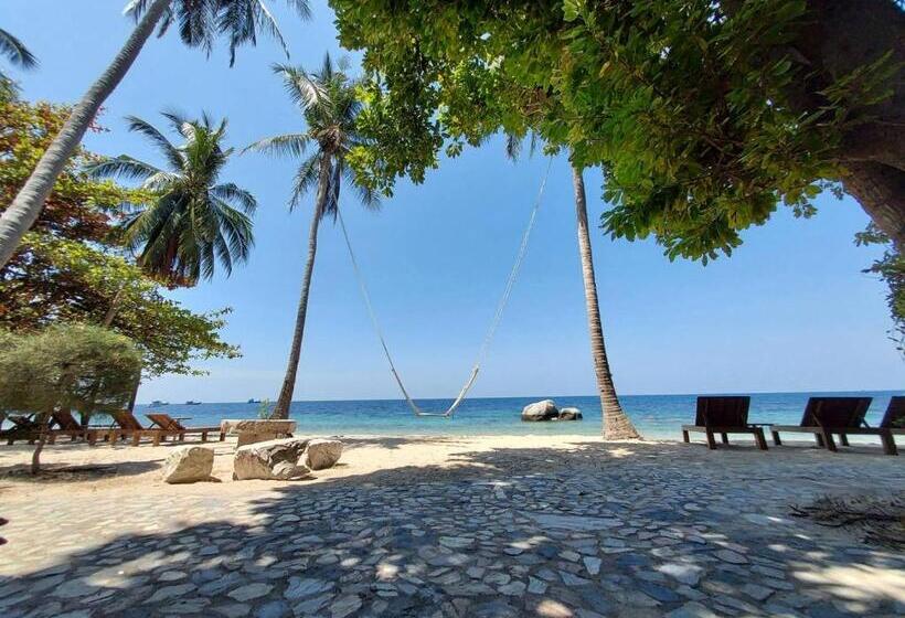 豪华海景房, Koh Tao Beach Club