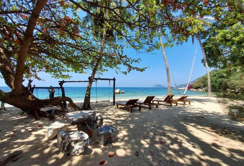 豪华海景房, Koh Tao Beach Club