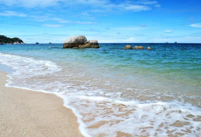 豪华洋房, Koh Tao Beach Club