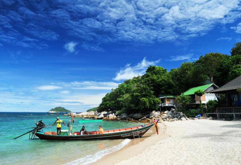 豪华洋房, Koh Tao Beach Club