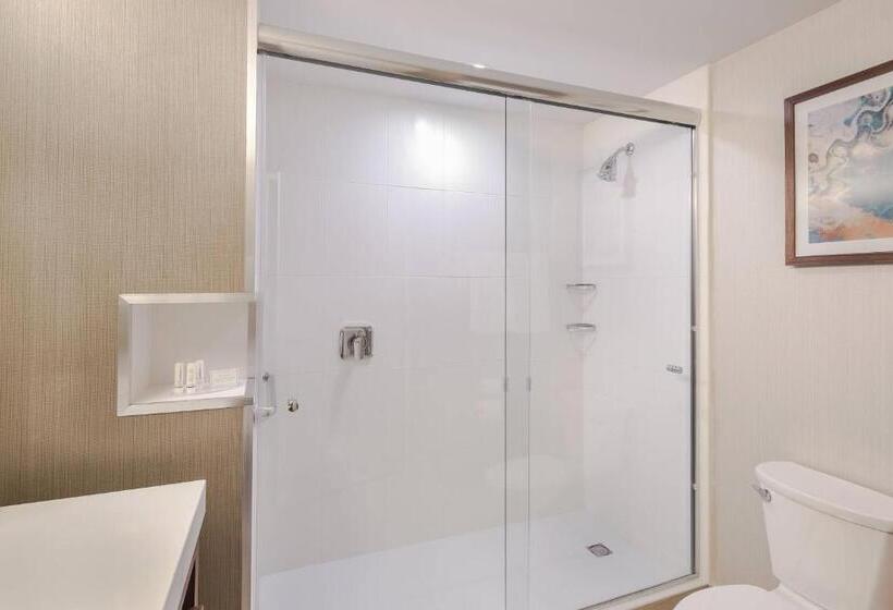 غرفة قياسية سرير كينج, Courtyard By Marriott Saltillo