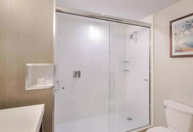スタンダードルーム, Courtyard By Marriott Saltillo