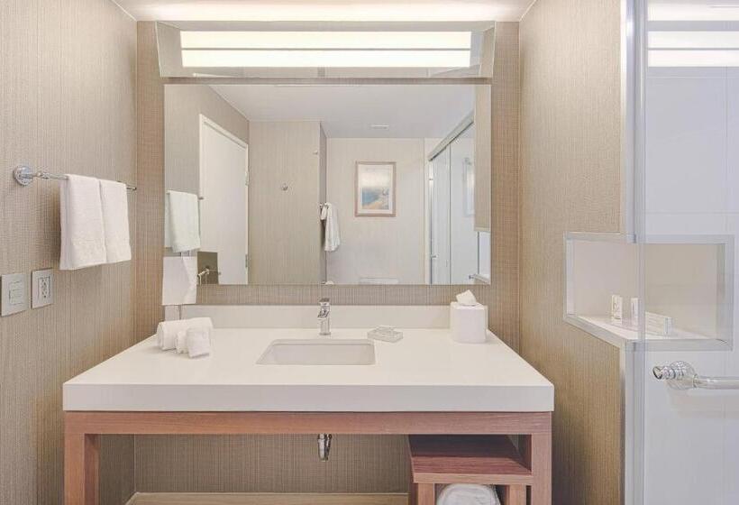 جناح سرير كينج, Courtyard By Marriott Saltillo