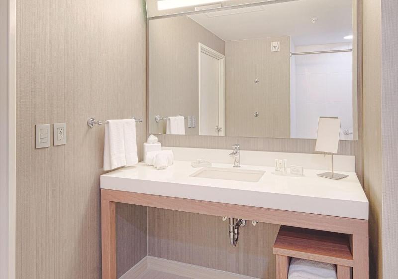 غرفة قياسية سرير كينج, Courtyard By Marriott Saltillo