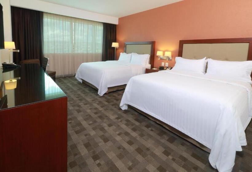 اتاق استاندارد, Holiday Inn & Suites Plaza Mayor, An Ihg