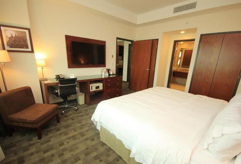 اتاق استاندارد با تخت بزرگ, Holiday Inn & Suites Plaza Mayor, An Ihg