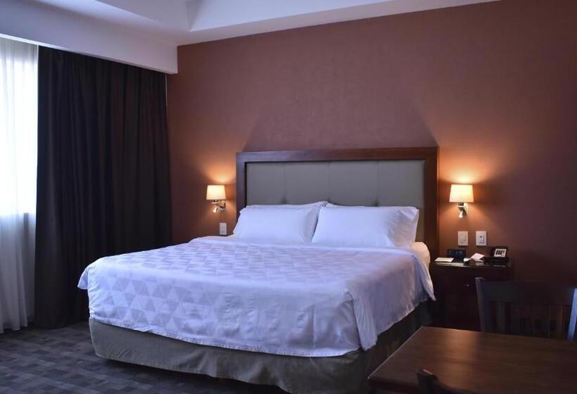 اتاق استاندارد با تخت بزرگ, Holiday Inn & Suites Plaza Mayor, An Ihg
