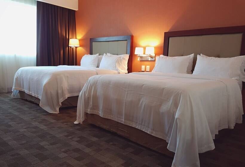 اتاق استاندارد, Holiday Inn & Suites Plaza Mayor, An Ihg