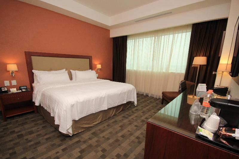 اتاق استاندارد با تخت بزرگ, Holiday Inn & Suites Plaza Mayor, An Ihg