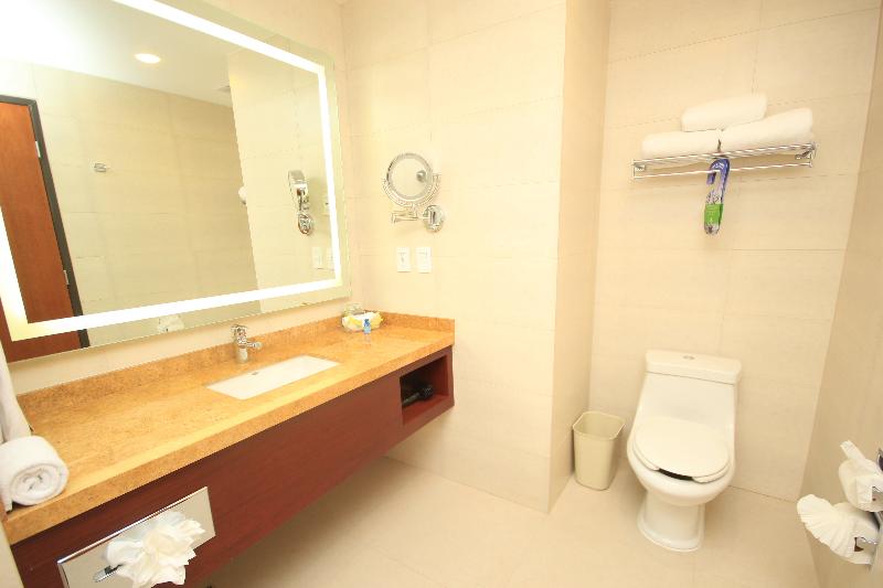 اتاق استاندارد, Holiday Inn & Suites Plaza Mayor, An Ihg