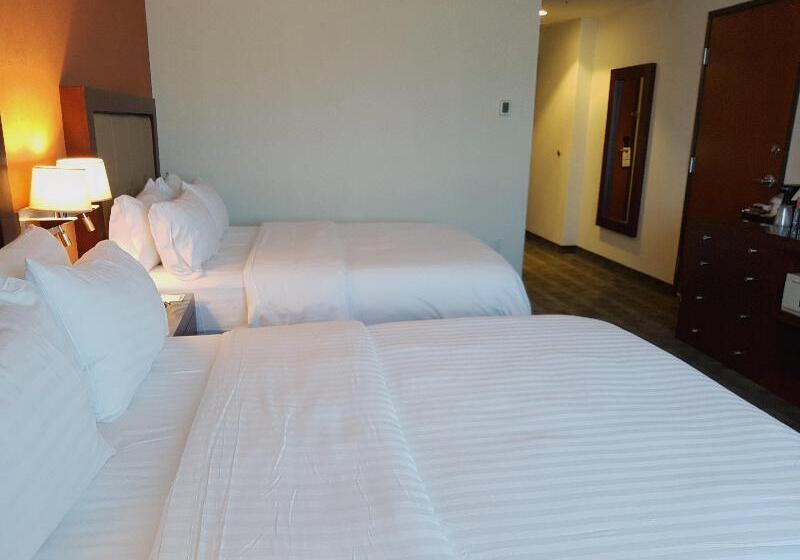 اتاق استاندارد, Holiday Inn & Suites Plaza Mayor, An Ihg