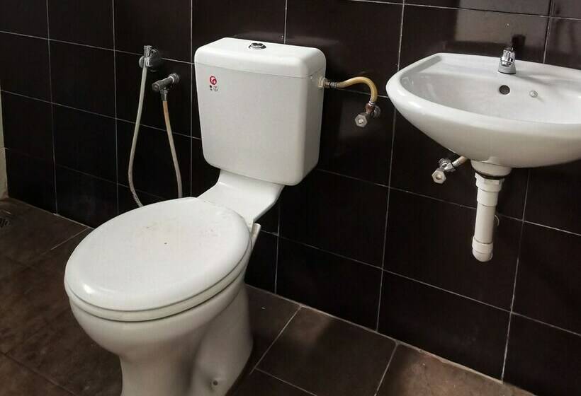 スタンダードルーム, Potato