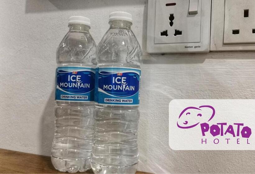 エコノミールーム, Potato