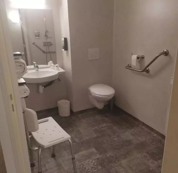 身障者適用スタンダードルーム, Sure Hotel By Best Western Saint Amand Les Eaux