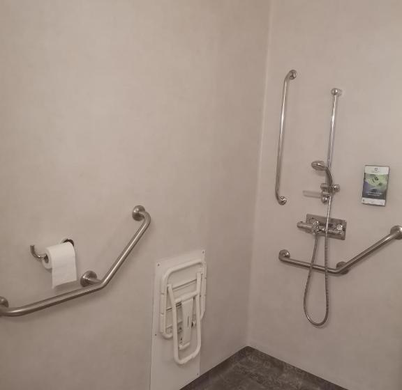 身障者適用スタンダードルーム, Sure Hotel By Best Western Saint Amand Les Eaux