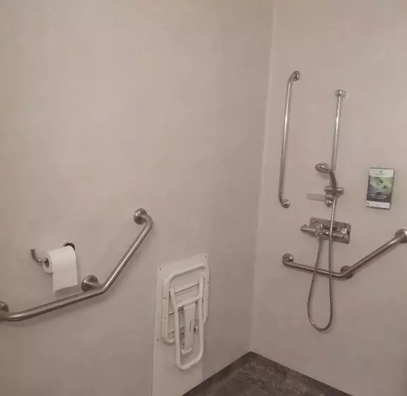 身障者適用スタンダードルーム, Sure Hotel By Best Western Saint Amand Les Eaux