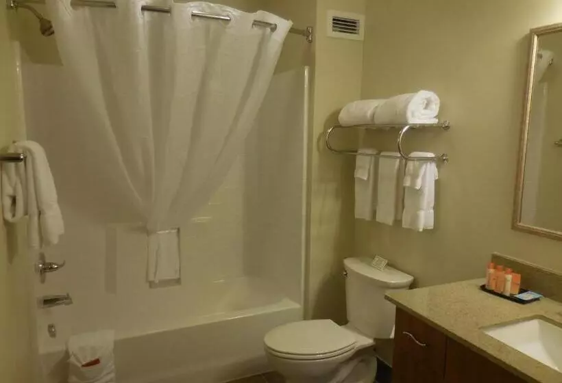 スタンダードルーム, Ledgestone Hotel Billings