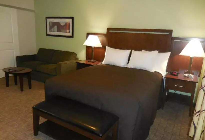 スタンダードルーム, Ledgestone Hotel Billings