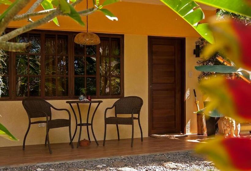 اتاق سوپریور با چشمانداز باغ, Oasis Resort