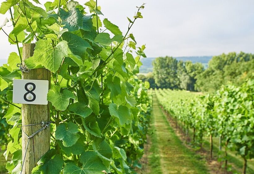 스탠다드 룸, Aldwick Estate