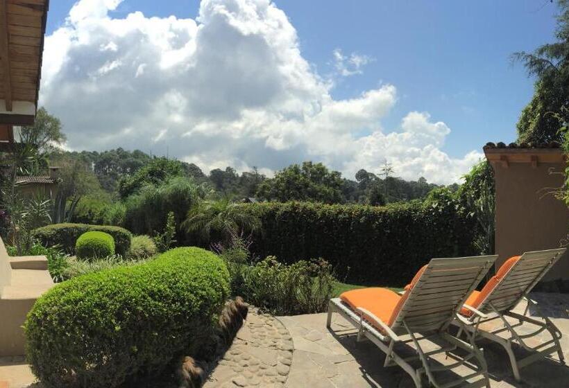 חדר סופריור, Las Luciernagas