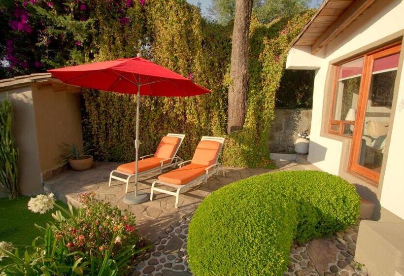 חדר סופריור, Las Luciernagas