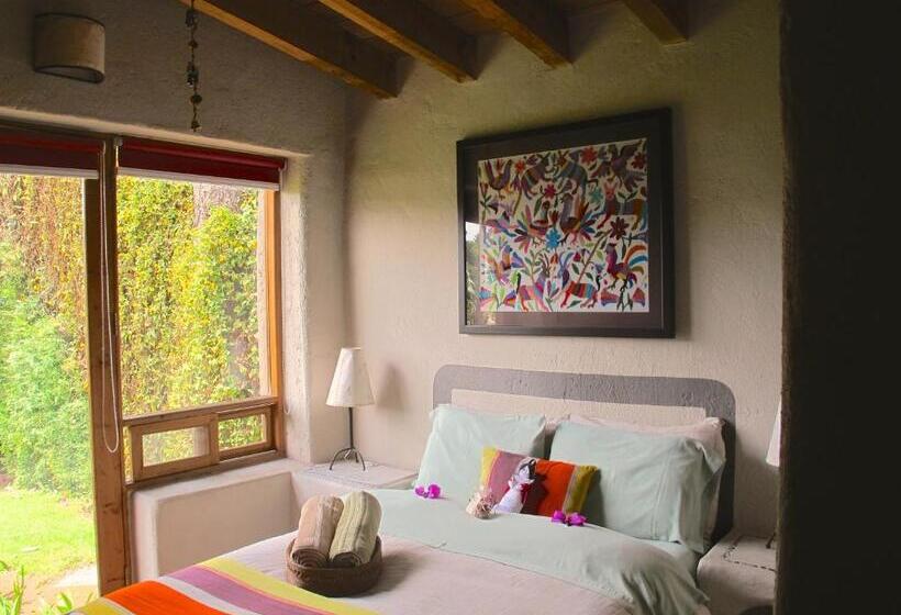 חדר סופריור, Las Luciernagas