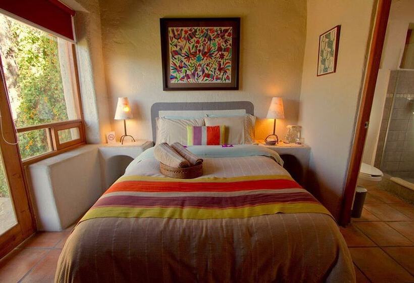 חדר סופריור, Las Luciernagas