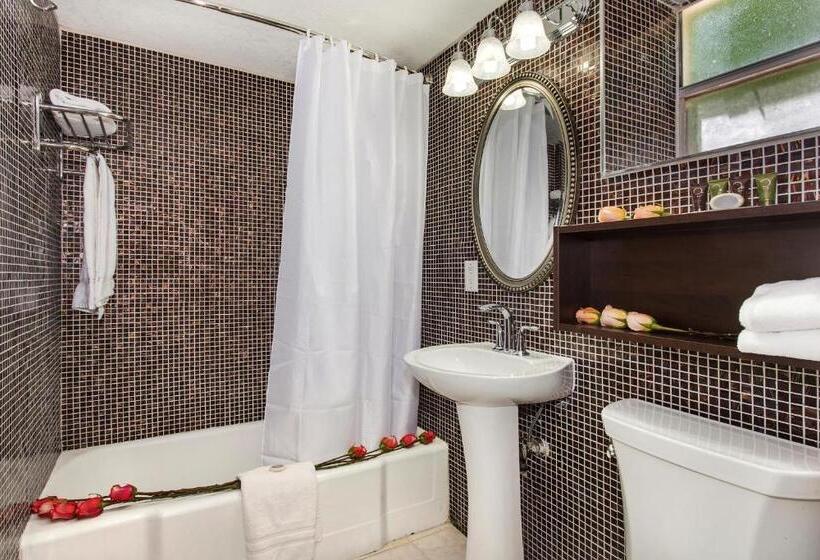 غرفة قياسية سرير كينج, Ocean Beach Palace