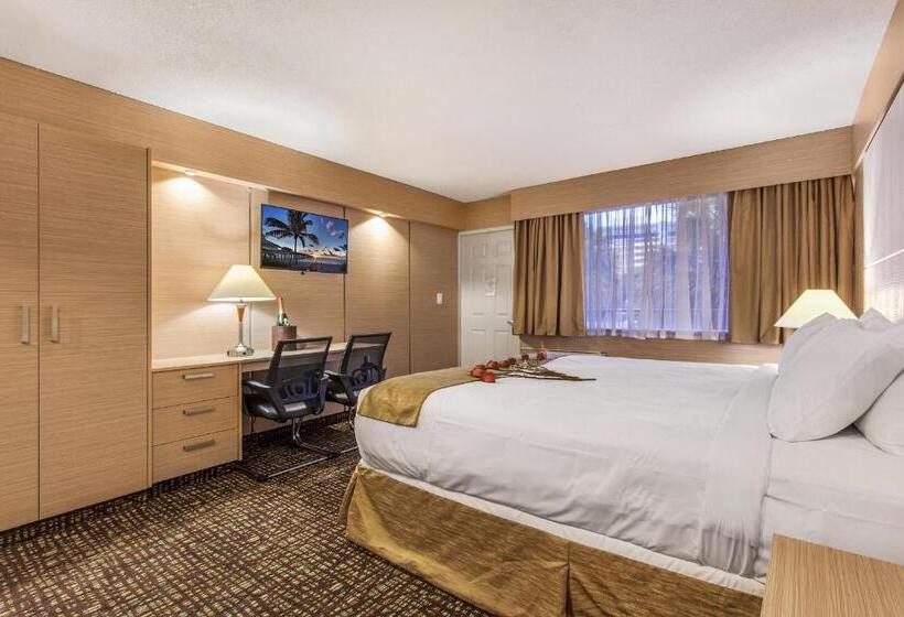 غرفة قياسية سرير كينج, Ocean Beach Palace