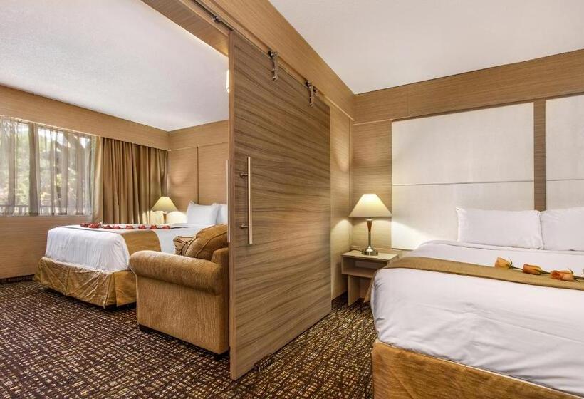 جناح, Ocean Beach Palace