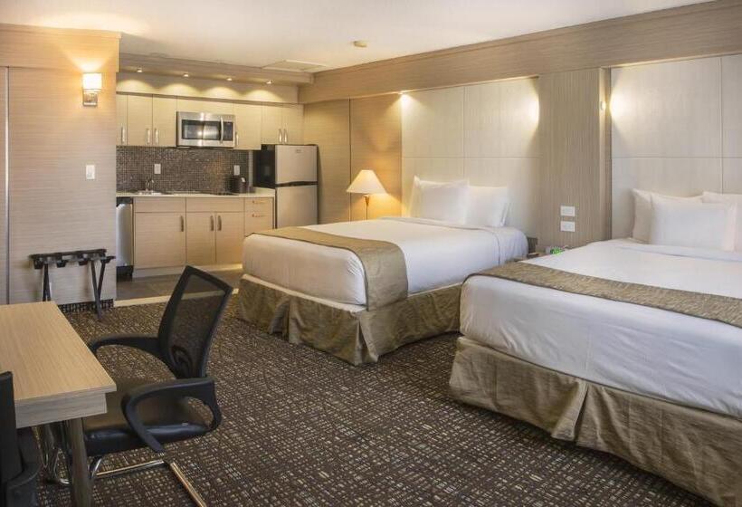 إستوديو قياسى, Ocean Beach Palace