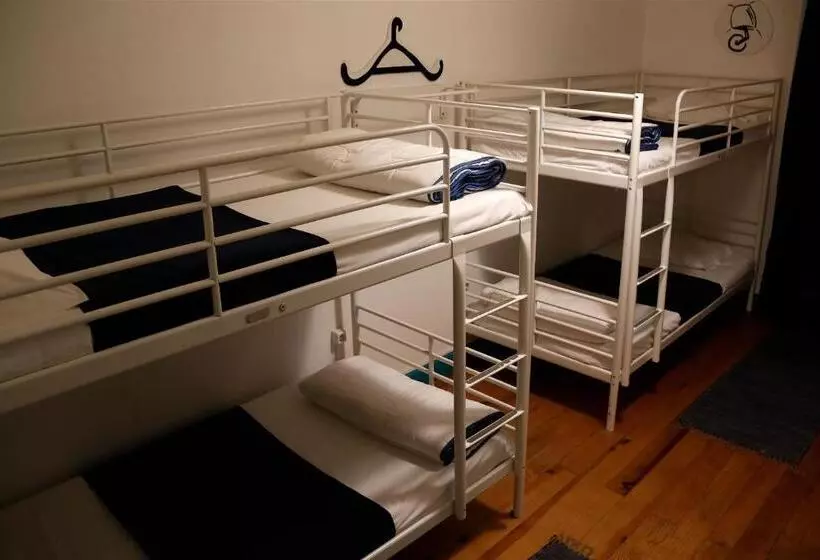 اتاق خانوادگی با سرویس بهداشتی مشترک, My Hostel