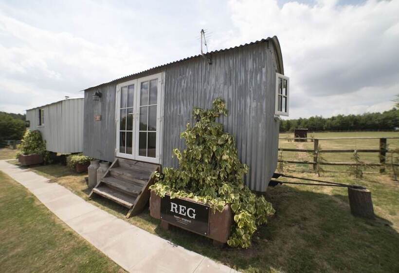 منزل غرفة نوم واحدة, Old Hall House, Nec