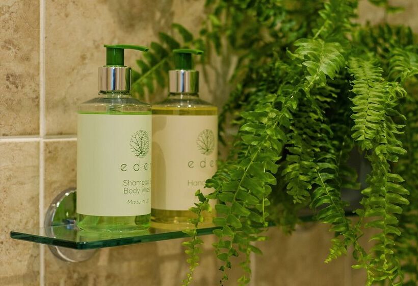 スタンダードルーム, The Maynard