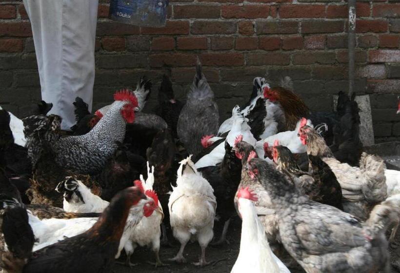 فيلا ديلوكس غرفة نوم, Burnhopeside Hall