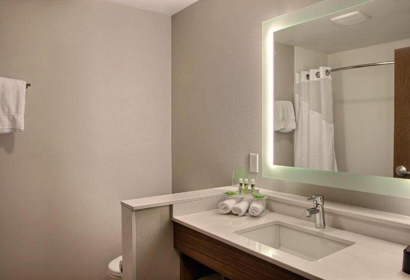 اتاق استاندارد, Holiday Inn Express & Suites Fond Du Lac, An Ihg