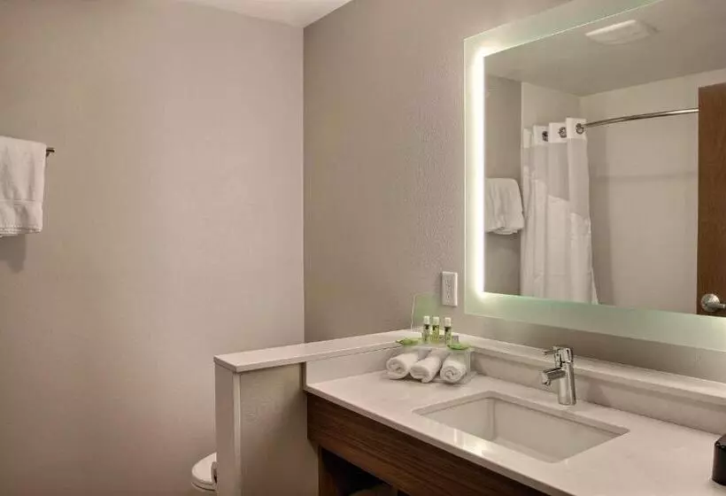 スタンダードルーム, Holiday Inn Express & Suites Fond Du Lac, An Ihg