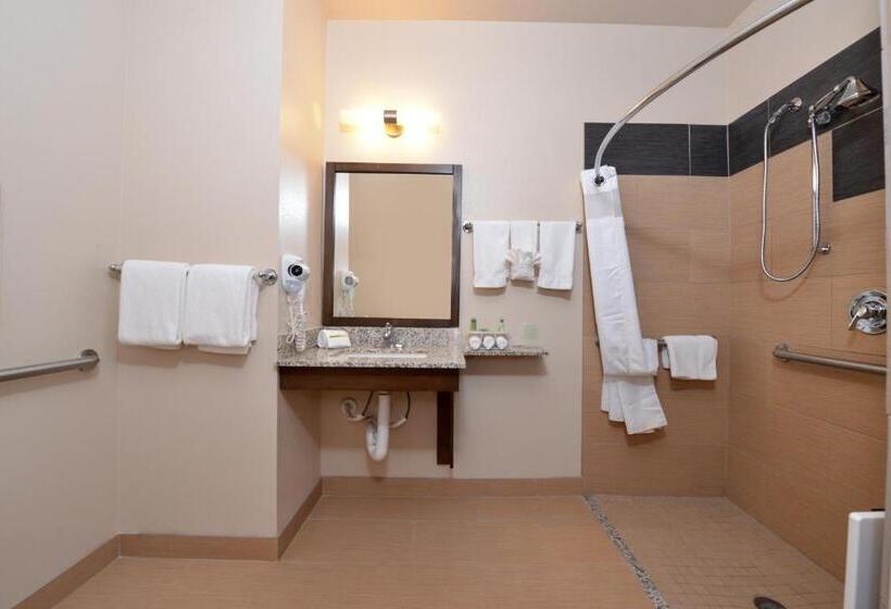 غرفة قياسية سرير كينج لذوى الإحتياجات الخاصة, Holiday Inn Express & Suites Globe, An Ihg