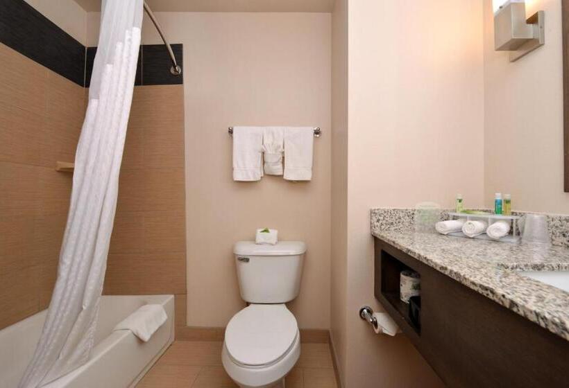 Номер Стандарт Кровать Кинг Адаптированный для Инвалидов, Holiday Inn Express & Suites Globe, An Ihg