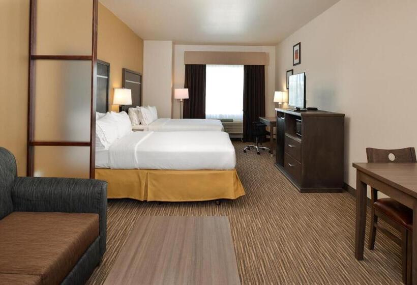 스위트, Holiday Inn Express & Suites Globe, An Ihg
