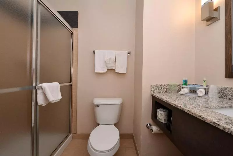 スタンダードルーム, Holiday Inn Express & Suites Globe, An Ihg