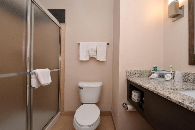 Quarto Estandar Cama King, Holiday Inn Express & Suites Globe, An Ihg