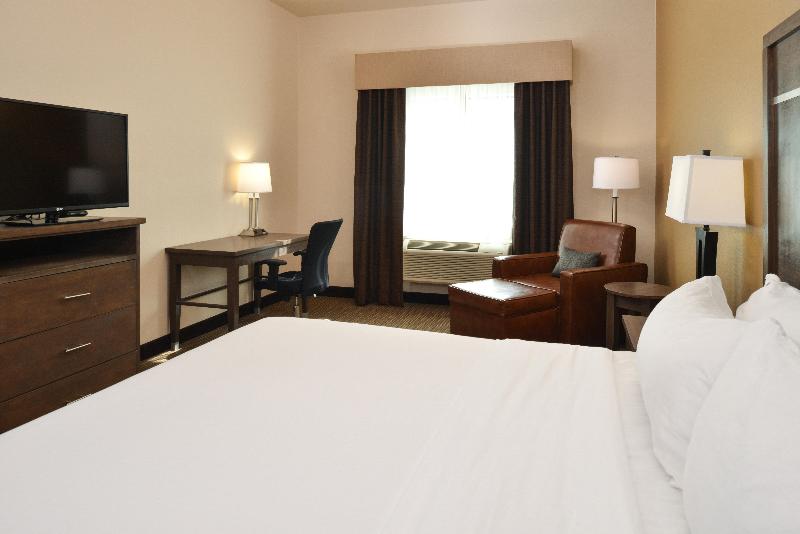 스탠다드 룸 킹사이즈 침대, Holiday Inn Express & Suites Globe, An Ihg