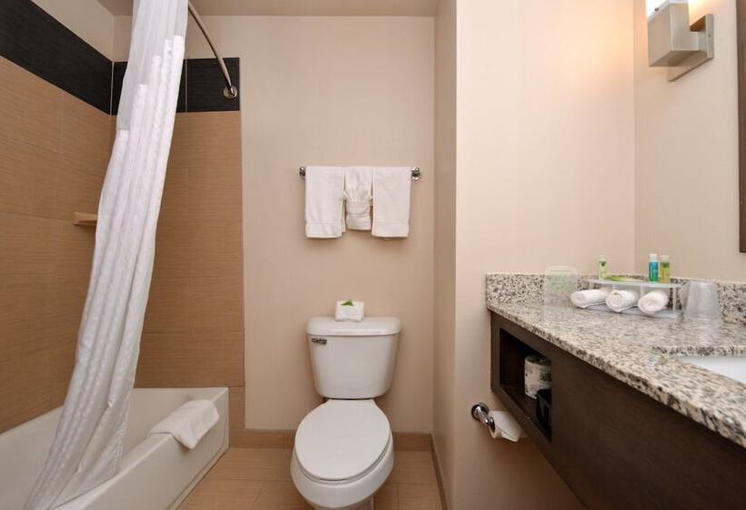 Quarto Estandar, Holiday Inn Express & Suites Globe, An Ihg